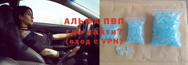 прущие крисы Беломорск