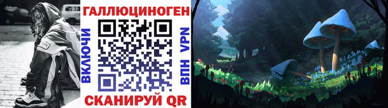 мега зеркало  Плёс  Псилоцибиновые грибы мицелий 