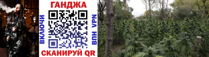гидра ТОР  наркошоп  Плёс  Бошки марихуана SATIVA & INDICA 